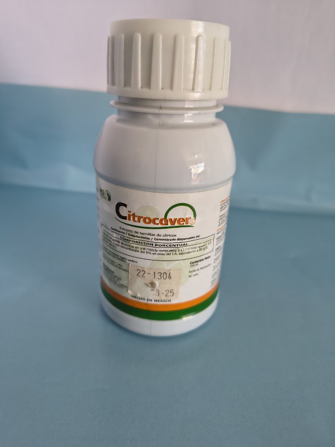 Producto