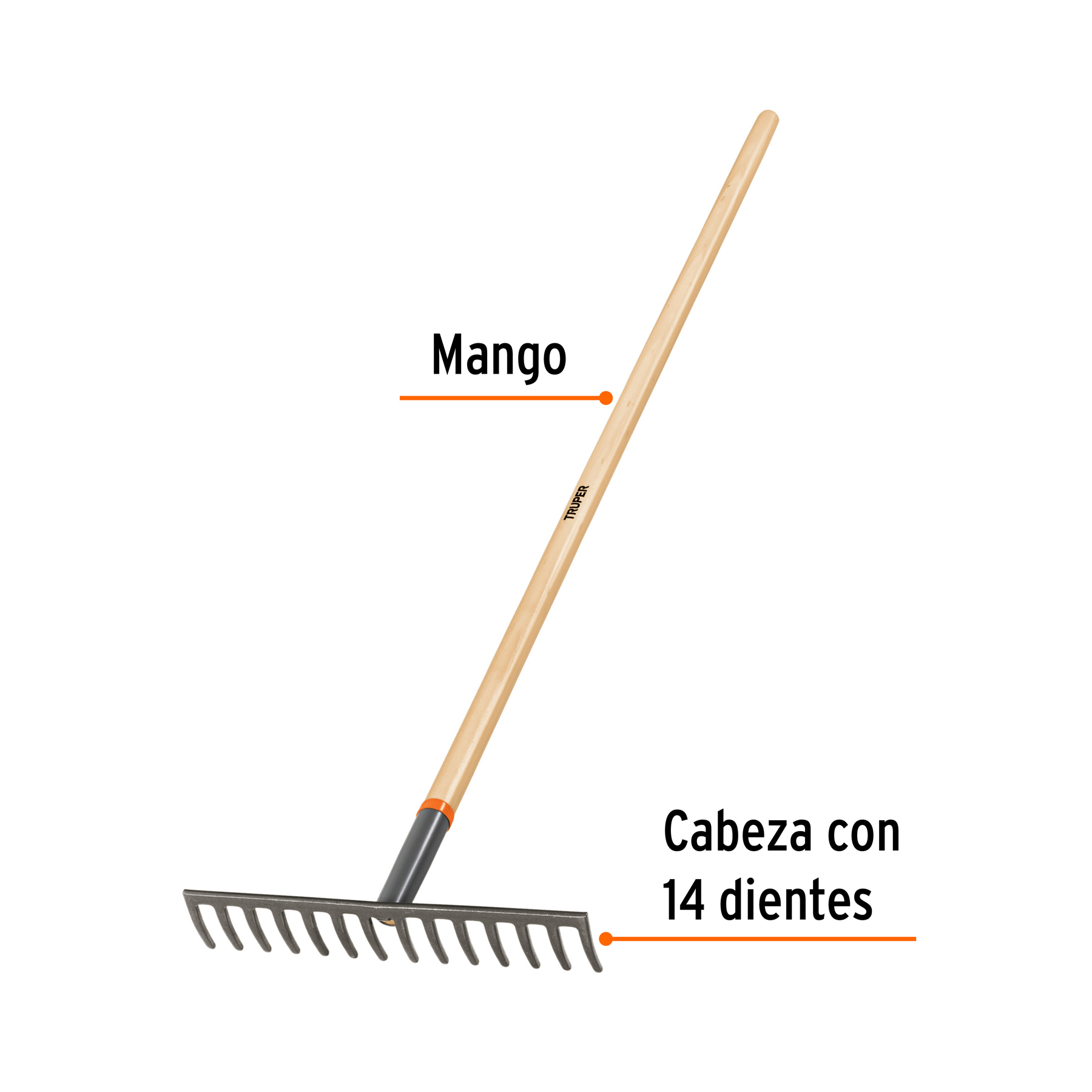 Producto